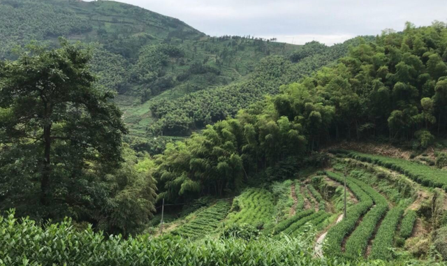 私藏三个杭州宝藏露营地，自驾野营极佳，享受美好如初的春天