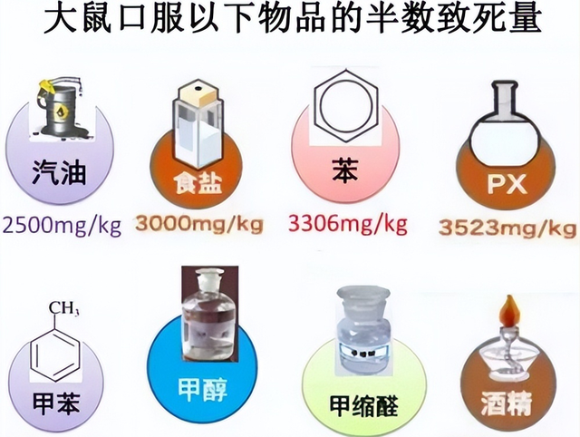 世界上最毒的树，比“鹤顶红”厉害百倍！见到最好绕着走