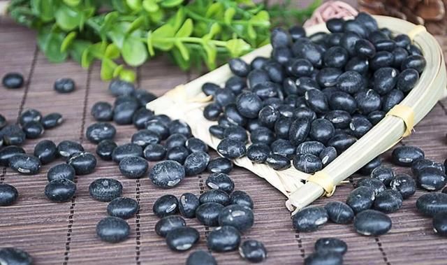 黑豆和黑芸豆的区别，黑豆和黑芸豆有什么区别图1