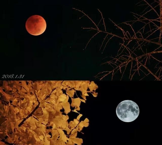如何拍摄月亮，如何拍摄出意境唯美的大月亮照片图15