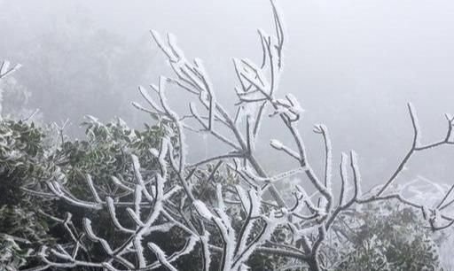 越南将正式入冬，最低温度可降至5度，山区有可能出现冰雪景观