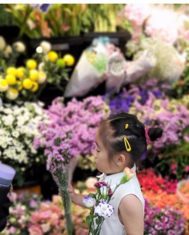 “花花世界”看花眼！盒马鲜花1元1枝，大爷大妈买疯了