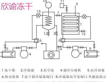 冷冻干燥机的原理和冷冻式干燥机的原理