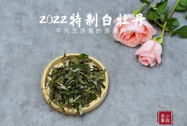 晚上才有时间喝茶的上班族，怎么喝茶比较好？这5点建议很重要