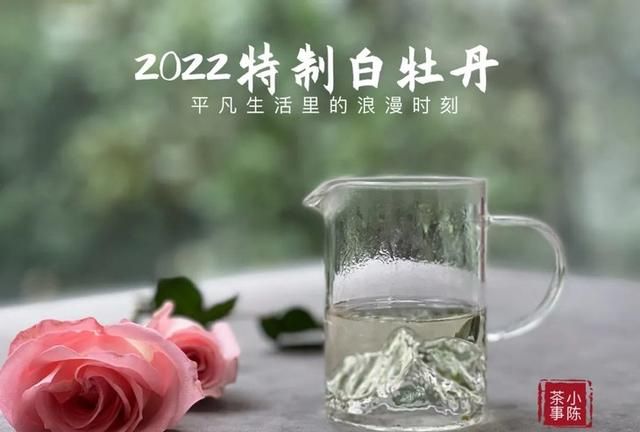 晚上才有时间喝茶的上班族，怎么喝茶比较好？这5点建议很重要