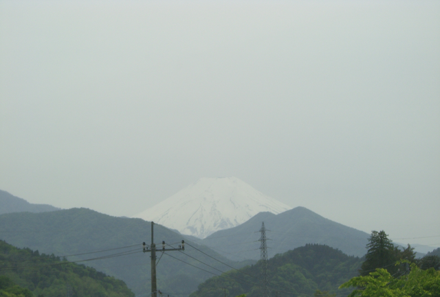 日本印象：追忆樱花