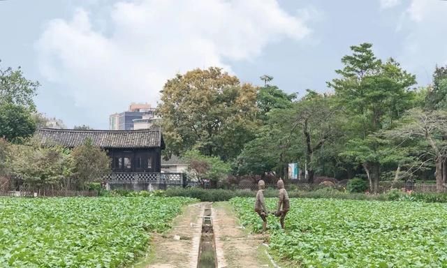 深圳必去的100个地方，你去过几个？