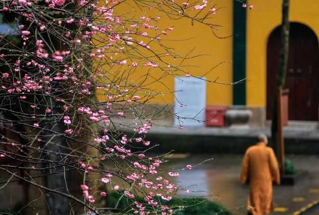 杭州旅游十大必去打卡景点