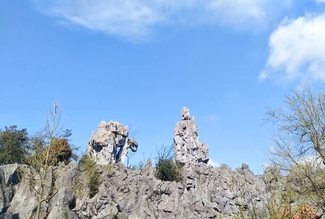 杭州旅游十大必去打卡景点