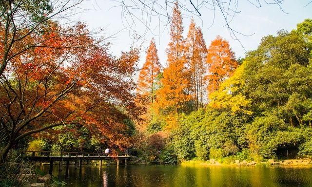 杭州旅游十大必去打卡景点