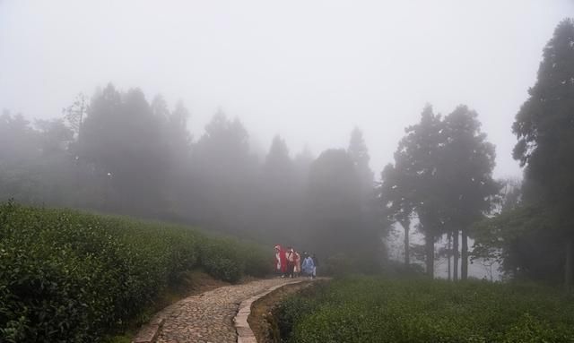 天台行｜年末将至，来一次坊轻松解压的旅行