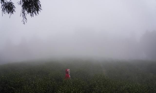 天台行｜年末将至，来一次坊轻松解压的旅行