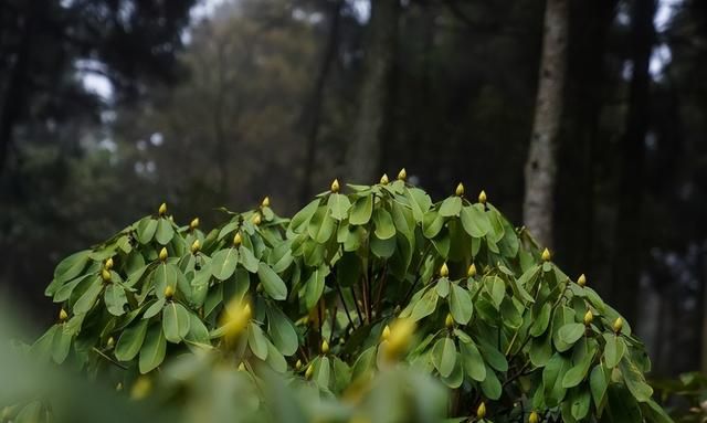 天台行｜年末将至，来一次坊轻松解压的旅行