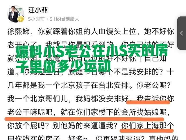 汪小菲说小S在上海买的房子里好多P什么意思图2
