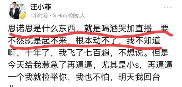 汪小菲说小S在上海买的房子里好多P什么意思图3