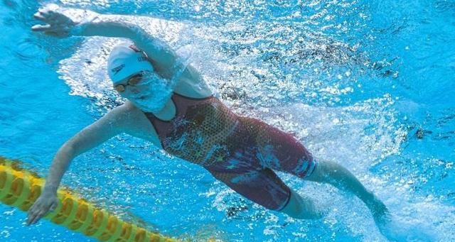 科普 | 国际重要的游泳赛事都有哪些？
