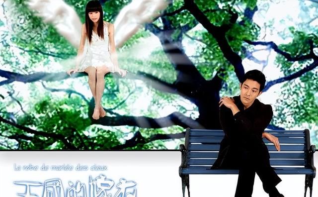 收视最高的10部台湾偶像剧：《天国的嫁衣》第9，《流星花园》第2