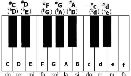 钢琴为什么要有黑白键,钢琴的黑白键代表什么图11