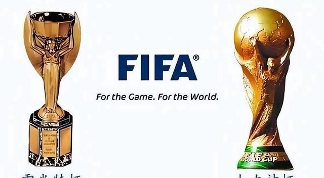 国际足联成立于1904年，为什么直到1930年才举办了世界杯？