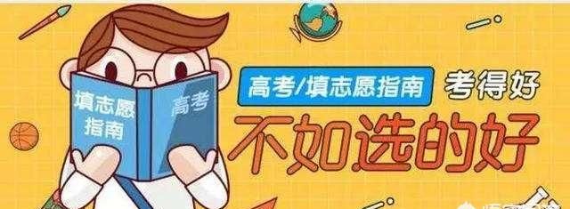 怎么填报志愿量体裁衣图3