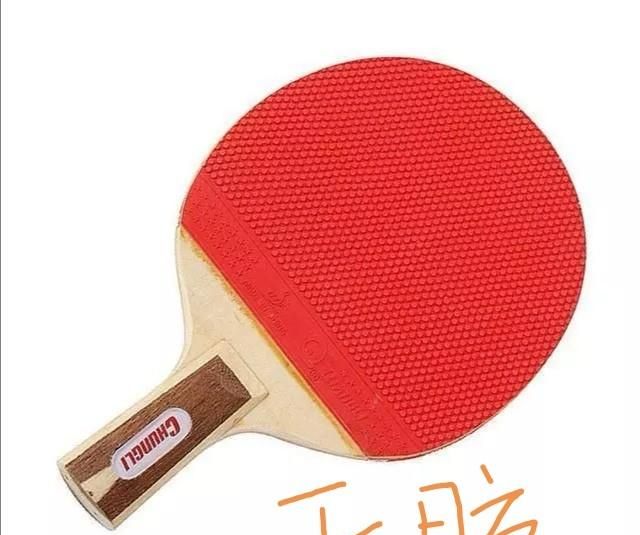 乒乓球拍的胶皮的种类和性能,乒乓球拍的胶皮都有哪些图1