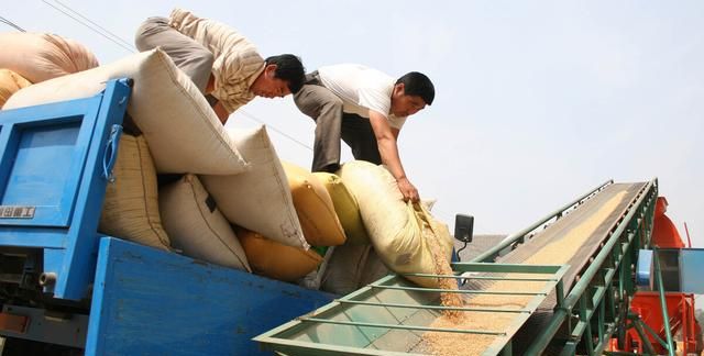 美国的小麦亩产有多少斤？与中国有多大差距？