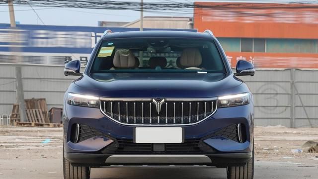 30来万买SUV，岚图、特斯拉、宝马、奥迪和奔驰，谁更值得选？