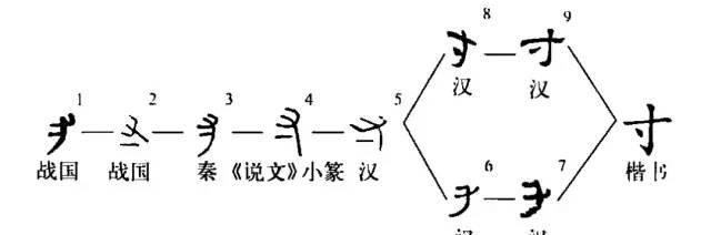 字典——每日释一字：寸