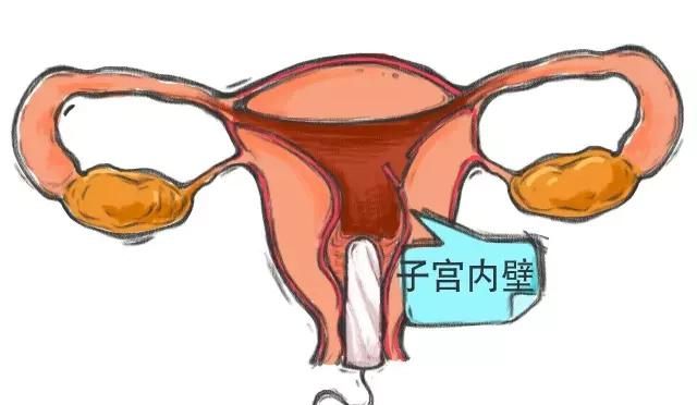 女性用卫生棉条好不好图3