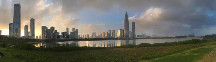 深圳湾公园哪个位置最漂亮图12