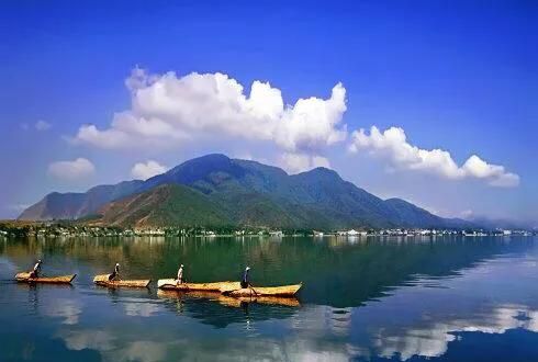 西昌买房发展前景怎么样(西昌种哪种葡萄前景好)图5