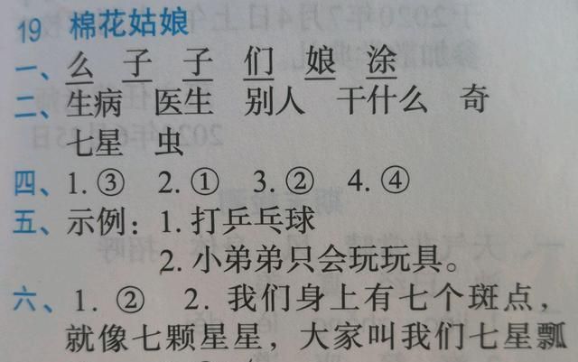 找重点，轻松学，一年级下册19课《棉花姑娘》，知识点