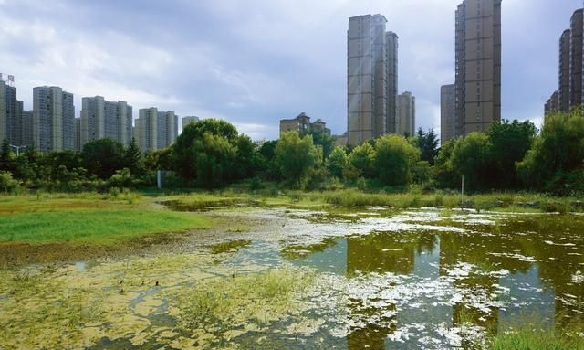 河南南阳楼市的危机，回不去的房价，南阳楼市的潜力与未来