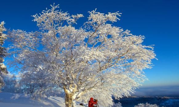 赏冰乐雪在龙江｜冰雪童话王国！凤凰山准备好了