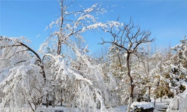 大雪节气说大雪：冬雪雪冬小大寒