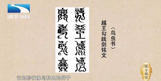 汉字解密｜虫 :“雕虫小技”里面的“虫”指的是虫子吗？