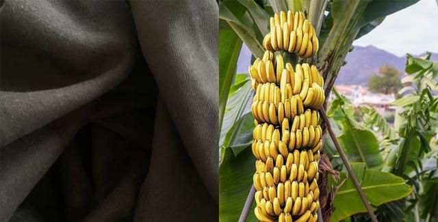 香蕉，怎么成了全球流行的内涵符号？