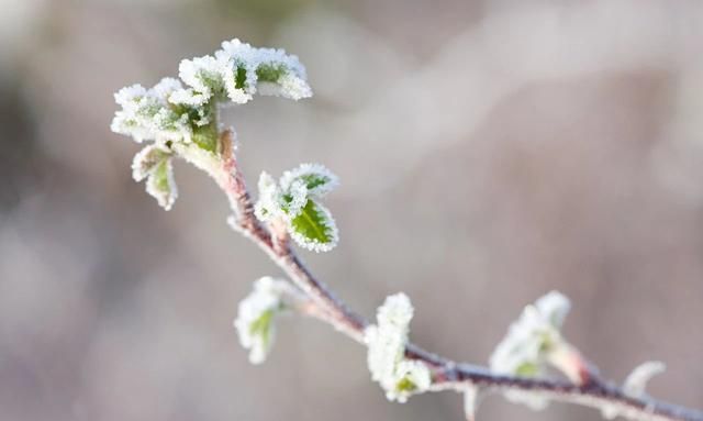 写雪最美的10首元曲，不输唐诗宋词风采，不读是你的遗憾