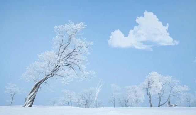 写雪最美的10首元曲，不输唐诗宋词风采，不读是你的遗憾