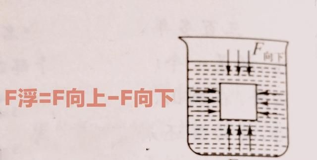 初中物理八年级下重点知识第九章第一节《浮力》