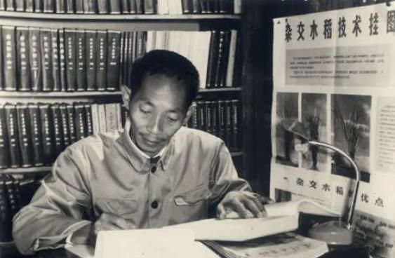 1975年，袁隆平研究杂交水稻遇到困难，关键时刻，华国锋鼎力相助