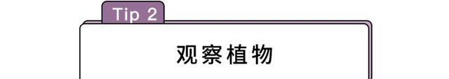 路痴必看！分清东南西北的N种大招~妈妈再也不用担心我迷路了