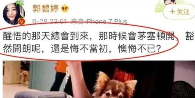 “精明女人”应采儿，为何不嫁向佐，而选择了家世一般的陈小春？