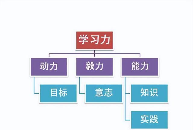 如何拥有好的口才？这里分享5个“绝招”！