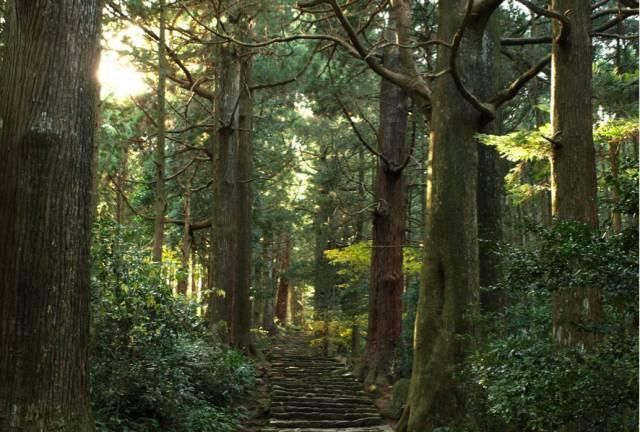 畅游不一样的关西，带你领略关西小众绝境风景