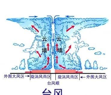 台风是如何形成的？为什么总是向北移动呢？