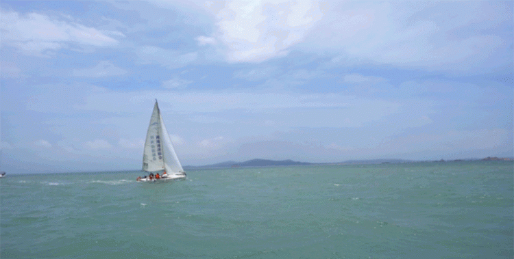 来厦门必打卡的五缘湾帆船，赏海景、观海豚，适合春夏来玩~