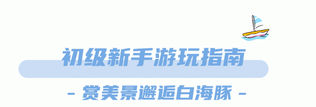 来厦门必打卡的五缘湾帆船，赏海景、观海豚，适合春夏来玩~