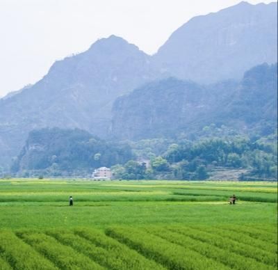 土地亩数计算方法