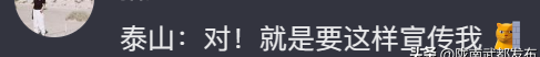 “爬泰山遇到的帅气男大学生，比我这辈子遇到的都多”